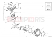 DUCATI Scrambler 1100 Dark Pro CYLINDERS - PISTONS [XST:ROK]