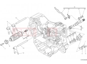 DUCATI Hypermotard 950 SHIFT CAM - FORK