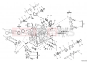 DUCATI Monster Plus HORIZONTAL HEAD