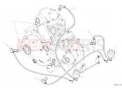 DUCATI Scrambler 1100 Dark Pro WIRING HARNESS (COIL)