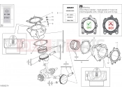DUCATI XDiavel Dark CYLINDERS - PISTONS (ASSO WERKE)