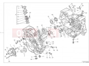 DUCATI Monster 821 HALF-CRANKCASES PAIR [MOD:M 821]