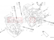 DUCATI 2019 Monster 1200 25th Anniversario HALF-CRANKCASES PAIR [MOD:M1200S25]