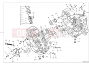 DUCATI Monster 821 Stealth HALF-CRANKCASES PAIR [MOD:M821STEA]
