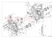 DUCATI Diavel 1260 S HALF-CRANKCASES PAIR [MOD:DVL1260S]