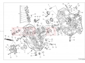 DUCATI Monster Plus HALF-CRANKCASES PAIR
