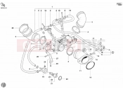 DUCATI Monster 750 THROTTLE BODY » INTAKE, CARBURETTOR