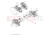 INDIAN 2020 SCOUT SIXTY ALL OPTIONS (R01) - N20MSA11/MSB11 ENGINE | ENGINE, CRANKCASE ASM. - N20MSA11/MSB11 ALL OPTIONS (49INDIANCRANKCASE15SCOUT)