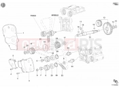 DUCATI Superbike 998 TIMING BELT » UNCLASSIFIED