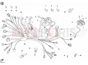 DUCATI Monster S4 Fogarty WIRING HARNESS » WIRING HARNESS