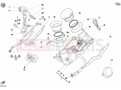 DUCATI Monster S4 Fogarty THROTTLE BODY » INTAKE, CARBURETTOR