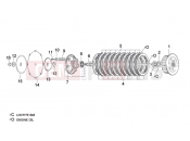 APRILIA RSV 1000 Tuono Clutch I