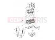 TRIUMPH Tiger 1200 Desert Cylinder Head & Valves