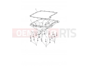 Triumph 2021 Tiger 1200 Alpine Sump & Fittings