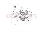 Triumph 2021 Tiger 1200 Alpine Crankcase & Fittings