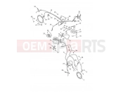 Triumph 2021 Tiger 1200 Alpine ABS System