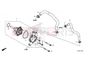 HONDA CMX500AP CMX500 Rebel 2023 E-12 WATER PUMP