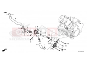 HONDA XL750 Transalp (XL750P) 2023 E-21 THERMOSTAT/WATER HOSE