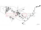 HONDA XL750 Transalp (XL750P) 2023 F-17 REAR BRAKE CALIPER