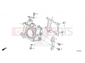HONDA Forza 125 ABS (NSS125ADP) 2023 E-6 CYLINDER