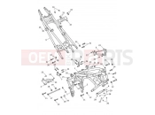 TRIUMPH Tiger 1200 Rally Explorer Frame & Rear Subframe