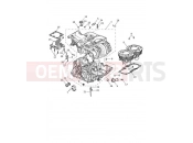Triumph 2023 Scrambler 1200 XE Crankcase & Fittings