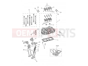 Triumph 2023 Scrambler 1200 XE Cylinder Head & Valves