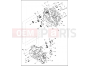 Harley-Davidson 2021 PAN AMERICA PAN AMERICA  - RA1250 CRANKCASE AND GEARCASE