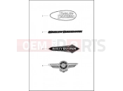 Harley-Davidson 2021 SOFTAIL SOFTAIL STREET BOB 114  - FXBBS FUEL TANK TRIM