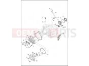 Harley-Davidson 2019 SOFTAIL SOFTAIL SOFTAIL SLM  - FLSL TRANSMISSION BEARINGS AND COVERS