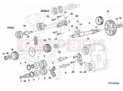 DUCATI Superbike 996 RS TIMING BELT » UNCLASSIFIED