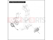 Harley-Davidson 2010 DYNA DYNA FAT BOB  - FXDF ALTERNATOR & REGULATOR