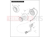 Harley-Davidson 2010 SPORTSTER SPORTSTER 883R  - XL883R ALTERNATOR & REGULATOR