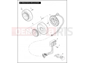 Harley-Davidson 2009 SPORTSTER SPORTSTER 1200R  - XL1200R ALTERNATOR & REGULATOR