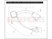 Harley-Davidson 2009 TOURING ROAD KING CLASSIC  - FLHRC HARNESS, BANK ANGLE SENSOR FOR 2009 MOTORCYCLES