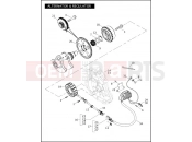 HARLEY-DAVIDSON VRSCD NIGHT ROD  - VRSCD 105 ALTERNATOR & REGULATOR