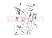 YAMAHA TT-R 250 TT250R (4GY1) 1993 Front Fall Oak 2 (4 GY3 / 4 GY5 / 4WA1)