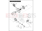 HARLEY-DAVIDSON VRSCD NIGHT ROD  - VRSCD ALTERNATOR & REGULATOR