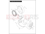 HARLEY-DAVIDSON CVO SOFTAIL DEUCE  - FXSTDSE2 ALTERNATOR & REGULATOR