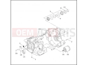 Harley-Davidson 2001 SOFTAIL SPRINGER SOFTAIL  - FXSTS CRANKCASE & ENGINE OIL FILTER - Twin Cam 88Bâ¢