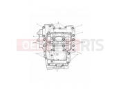 TRIUMPH Street Triple RS Crankcase Bolts