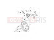 TRIUMPH Street Triple R Rear Brake & Disc