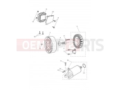 TRIUMPH Street Triple R Starter & Alternator