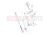 TRIUMPH Daytona Moto2 765 Front Forks & Yokes