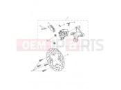 TRIUMPH Daytona Moto2 765 Rear Brake & Disc