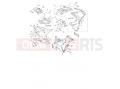 TRIUMPH Daytona Moto2 765 Side Fairings