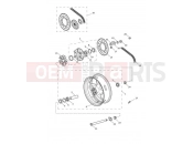 TRIUMPH Daytona Moto2 765 Rear Wheel & Final Drive