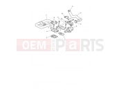 TRIUMPH Daytona Moto2 765 Emissions Control
