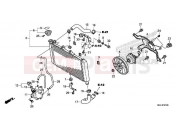HONDA NC750XAK NC750X 2019 F-41 RADIATOR