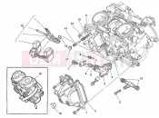 DUCATI Monster 750 Dark CARBURETOR » INTAKE, CARBURETTOR